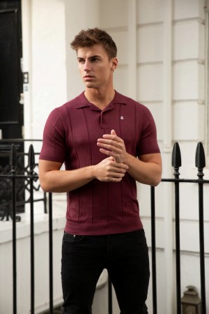 Blakely Finsbury Polo Shirt Bordeaux | DYK803269